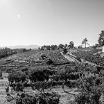 Quinta Da Estrada Winery Douro Valley Gasthof Peso da Régua