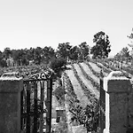 Quinta Da Estrada Winery Douro Valley Peso da Régua