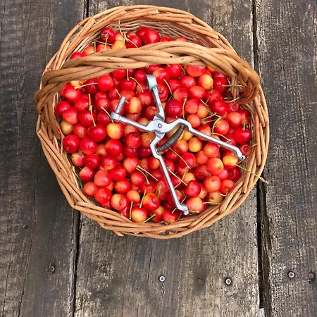 Quinta Da Estrada Winery Douro Valley Πανσιόν 4*