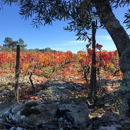 Quinta Da Estrada Winery Douro Valley