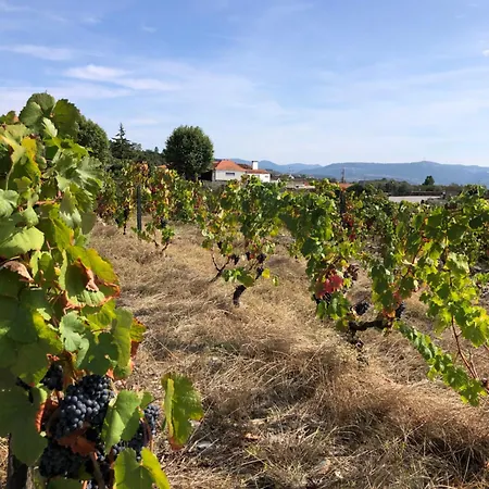 Affittacamere Quinta Da Estrada Winery Douro Valley
