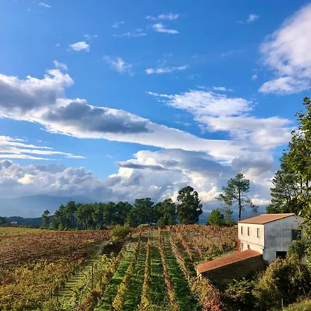 Πανσιόν Quinta Da Estrada Winery Douro Valley