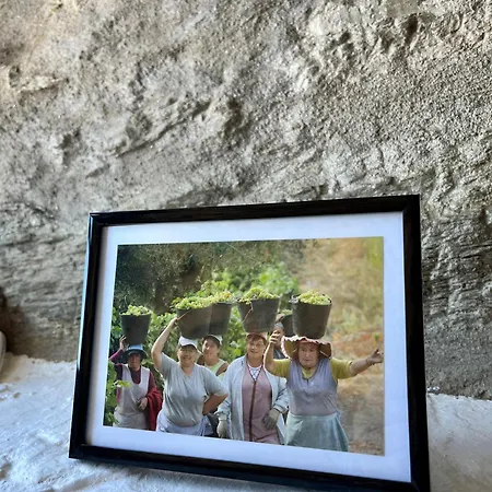 Quinta Da Estrada Winery Douro Valley ゲストハウス ペーゾ・ダ・レーグア