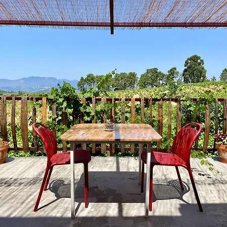 ゲストハウス Quinta Da Estrada Winery Douro Valley