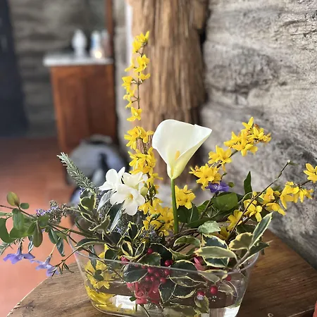 Quinta Da Estrada Winery Douro Valley