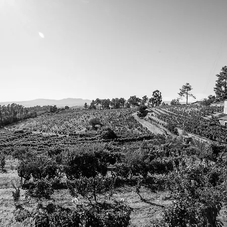 Quinta Da Estrada Winery Douro Valley Gasthuis Peso da Régua