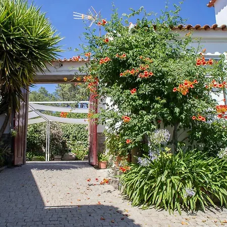 Vendégház Quinta Da Estrada Winery Douro Valley Peso da Régua