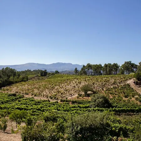 Quinta Da Estrada Winery Douro Valley 페소다레과
