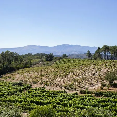 Maison d'hôtes Quinta Da Estrada Winery Douro Valley Peso da Régua