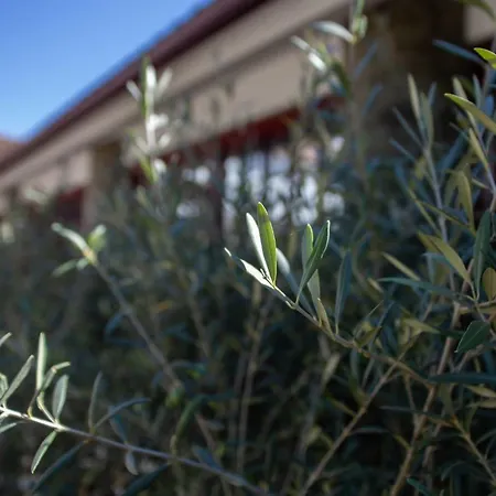 Quinta Da Estrada Winery Douro Valley 4* Peso da Régua