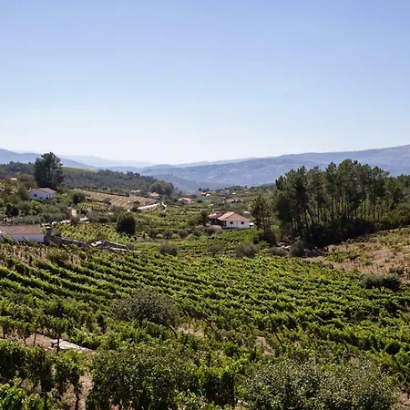 Quinta Da Estrada Winery Douro Valley Πανσιόν Peso da Régua