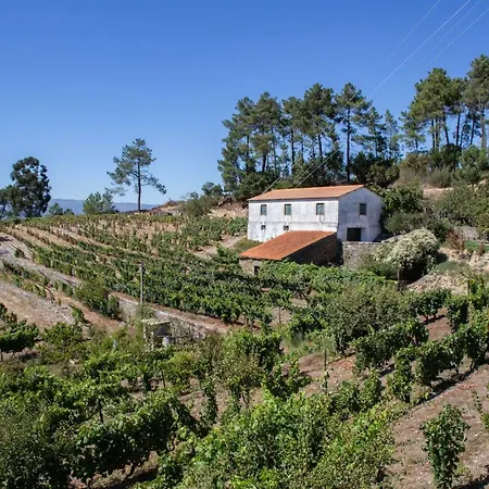 Quinta Da Estrada Winery Douro Valley Peso da Régua