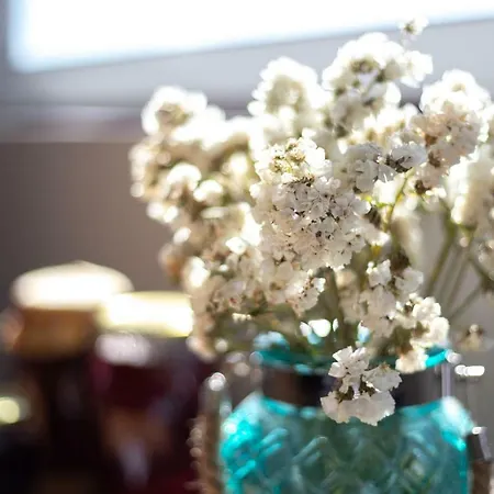 Quinta Da Estrada Winery Douro Valley Vendégház 4*