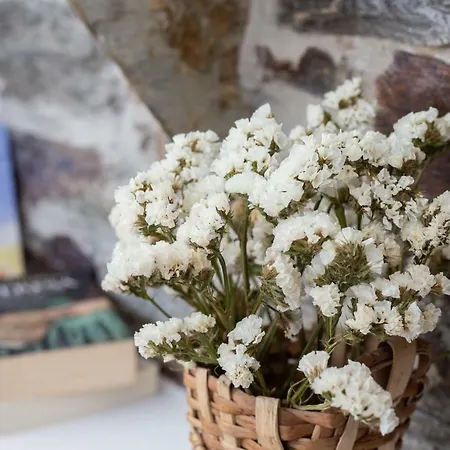 Πανσιόν Quinta Da Estrada Winery Douro Valley