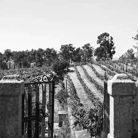 Quinta Da Estrada Winery Douro Valley Peso da Regua
