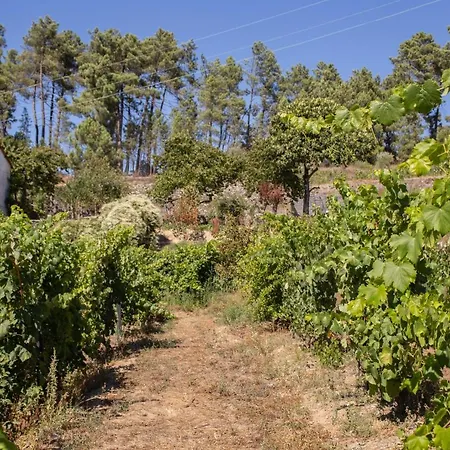 Quinta Da Estrada Winery Douro Valley 4* Peso da Regua