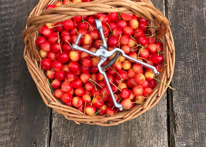 Quinta Da Estrada Winery Douro Valley Gasthof 4*