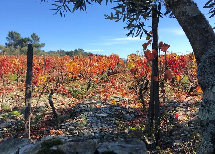 Quinta Da Estrada Winery Douro Valley