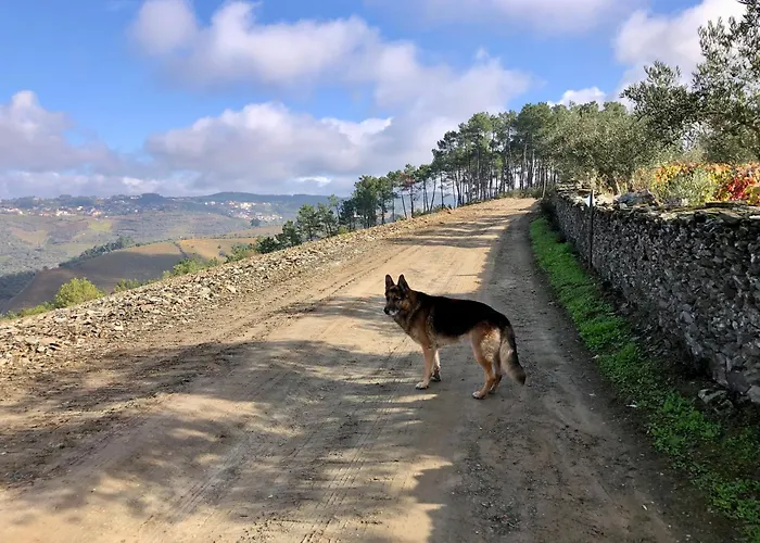 Quinta Da Estrada Winery Douro Valley Peso da Régua