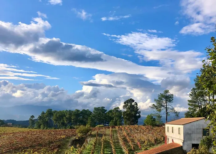 Gasthof Quinta Da Estrada Winery Douro Valley