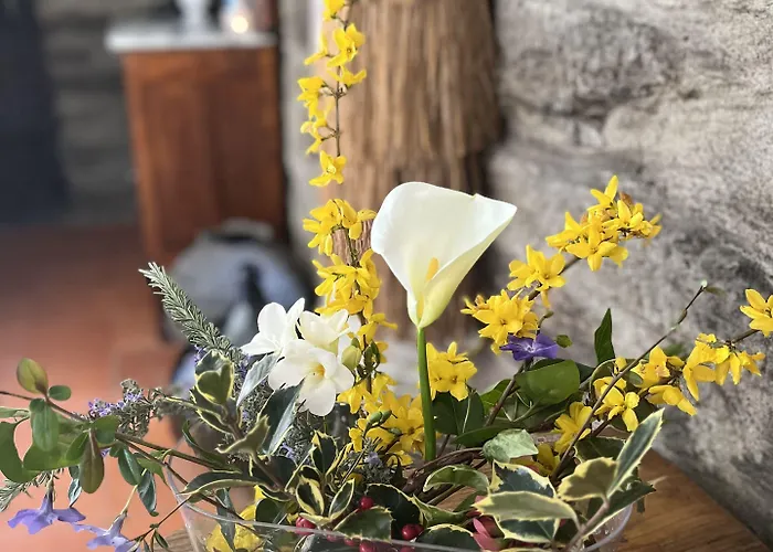 Quinta Da Estrada Winery Douro Valley