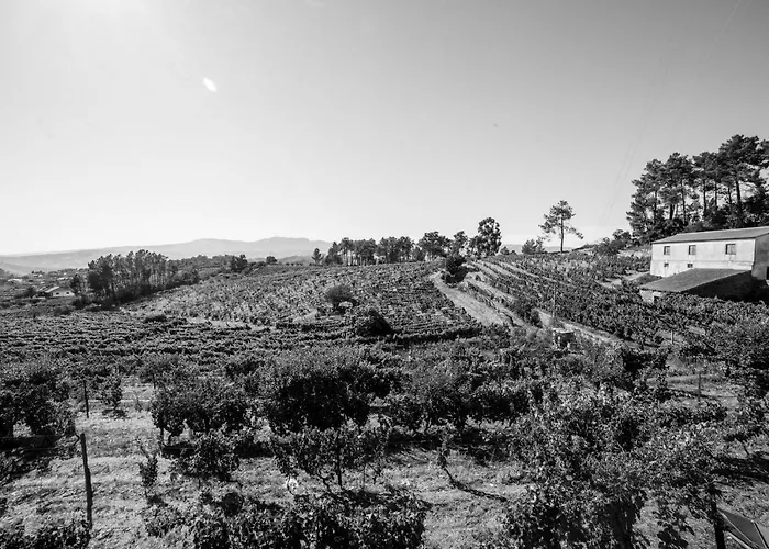 Quinta Da Estrada Winery Douro Valley Affittacamere Peso da Régua