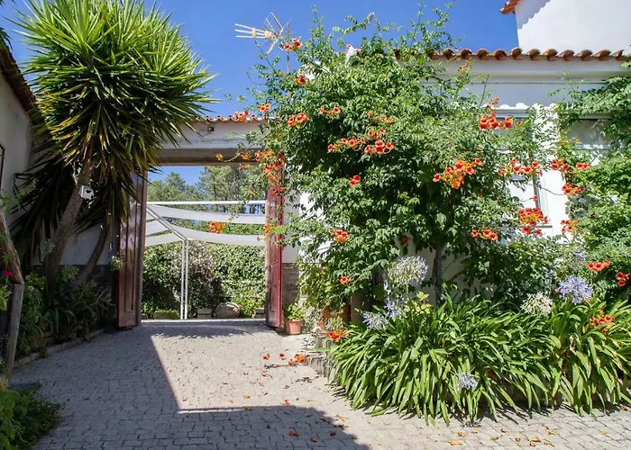 בית הארחה Quinta Da Estrada Winery Douro Valley פסו דה רגואה