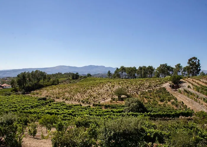 Quinta Da Estrada Winery Douro Valley פסו דה רגואה