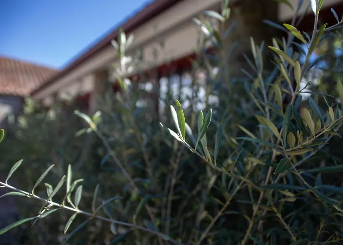 Quinta Da Estrada Winery Douro Valley 4* Peso da Régua