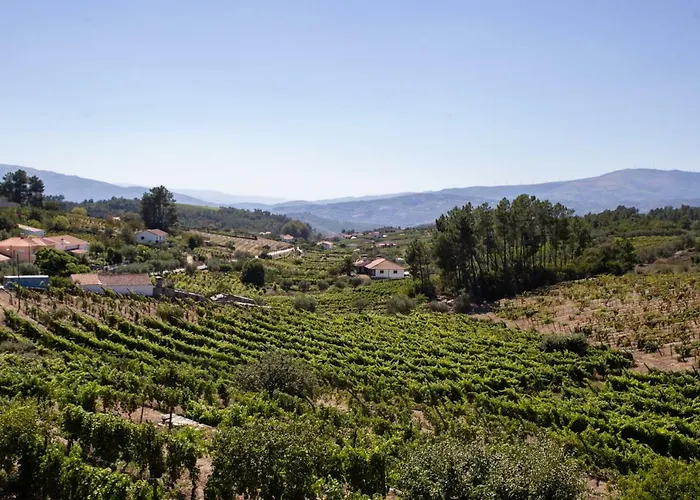 Quinta Da Estrada Winery Douro Valley Gasthof Peso da Régua