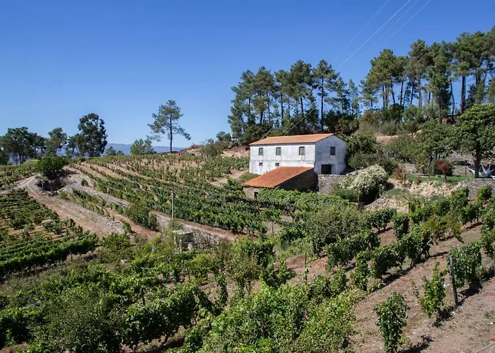 Quinta Da Estrada Winery Douro Valley פסו דה רגואה