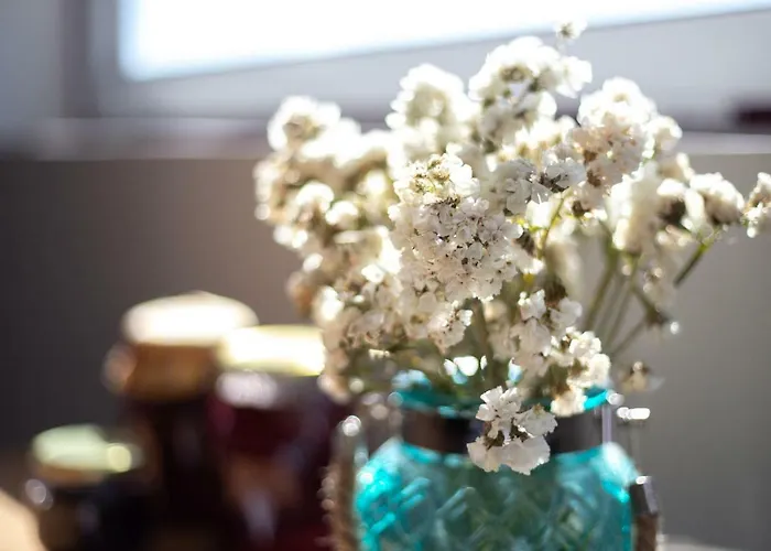 Quinta Da Estrada Winery Douro Valley בית הארחה 4*