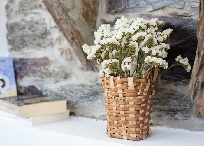 Affittacamere Quinta Da Estrada Winery Douro Valley