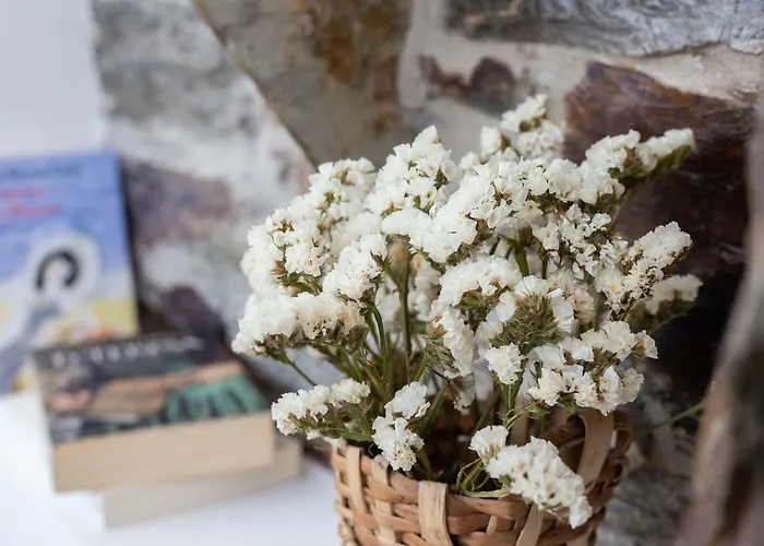 Gasthof Quinta Da Estrada Winery Douro Valley