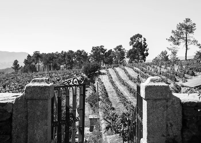 Quinta Da Estrada Winery Douro Valley פסו דה רגואה